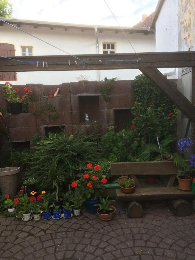 Otterbau Belgern-Schildau Exterior foto