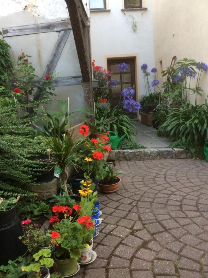 Otterbau Belgern-Schildau Exterior foto